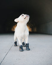 Load image into Gallery viewer, Beluga 544 Dog Shoes
