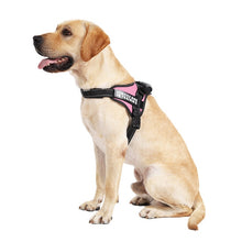 Load image into Gallery viewer, dadugo Personalized Reflective dog harness pet harness for small and large dogs With custom patch dropshipping

